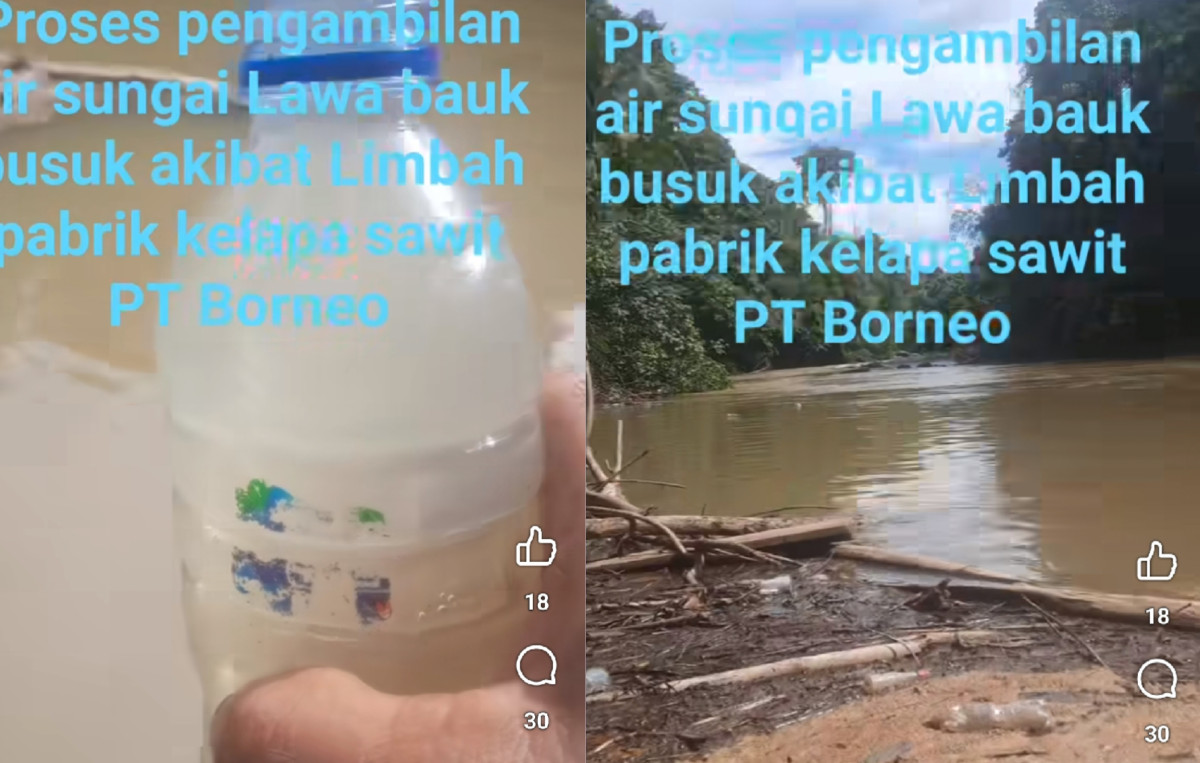 Limbah Sawit