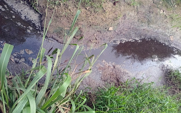 Pencemaran Sungai
