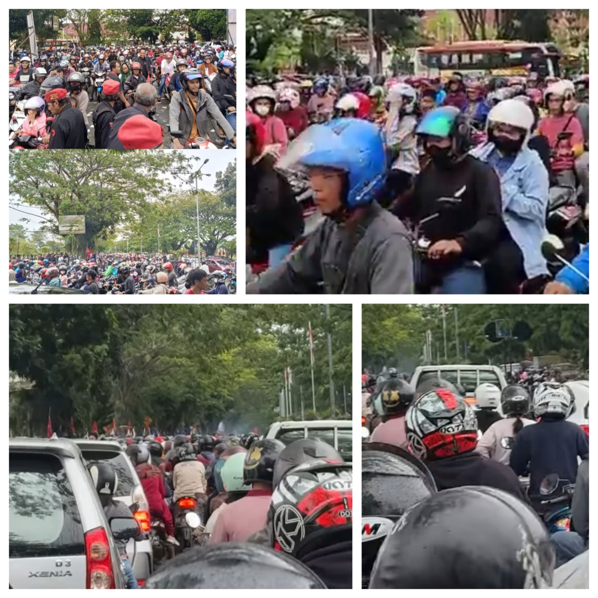 Pasangan FENA