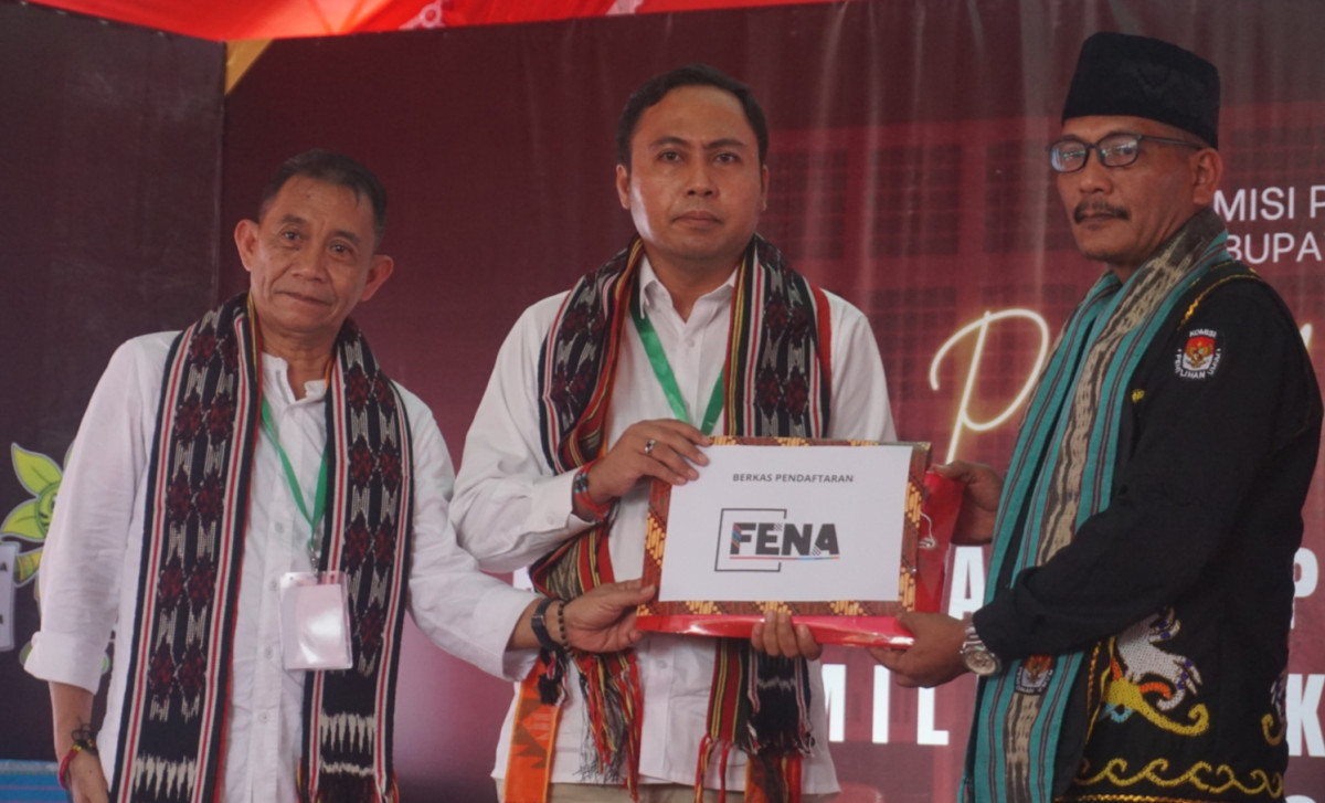 Pasangan FENA