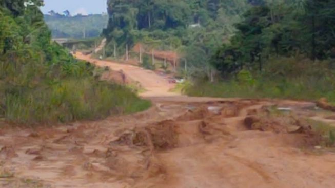 Jalan Mangkrak