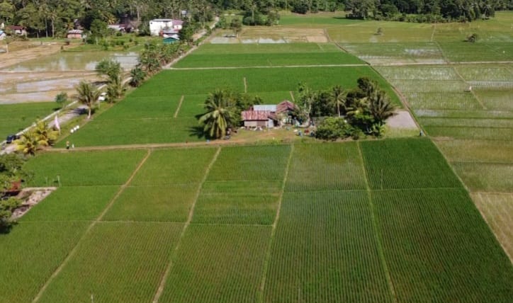 Bukit Biru